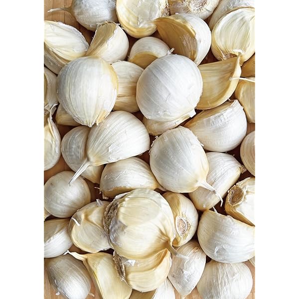 Amazon.co.jp: 種子用にんにく Lサイズ 1キロ 青森県産 福地ホワイト